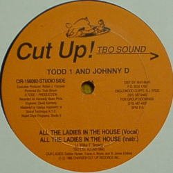 画像1: TODD 1 AND JOHNNY D / ALL THE LADIES IN THE HOUSE