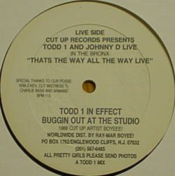 画像2: TODD 1 AND JOHNNY D / ALL THE LADIES IN THE HOUSE