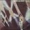 画像1: HERB ALPERT / RISE (LP) (1)