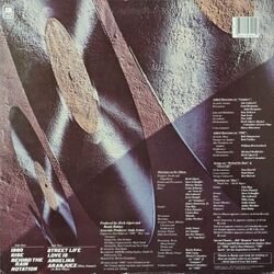 画像2: HERB ALPERT / RISE (LP)