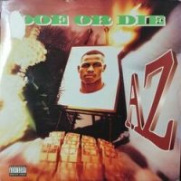 AZ / DOE OR DIE (LP)