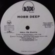 画像6: MOBB DEEP / HELL ON EARTH (LP)