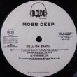 画像3: MOBB DEEP / HELL ON EARTH (LP)
