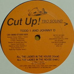 画像1: TODD 1 AND JOHNNY D / ALL THE LADIES IN THE HOUSE