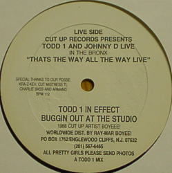 画像2: TODD 1 AND JOHNNY D / ALL THE LADIES IN THE HOUSE